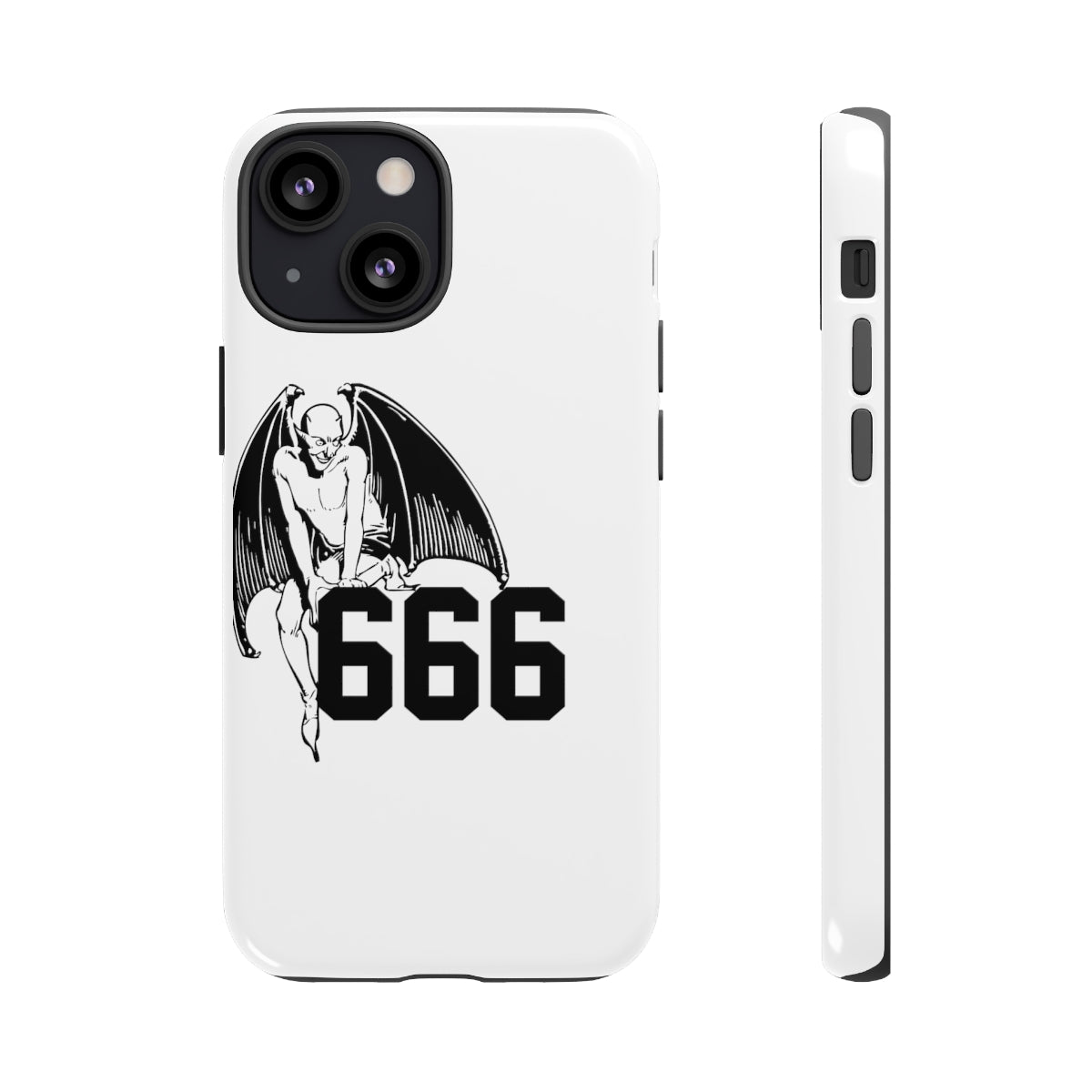 6S Cases