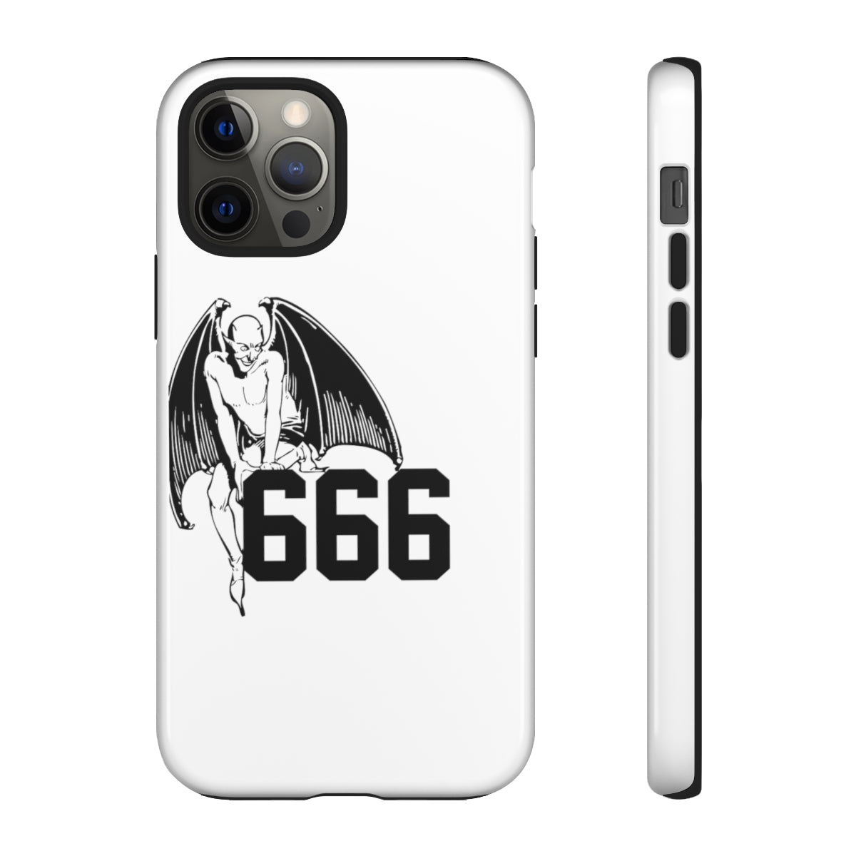 6S Cases