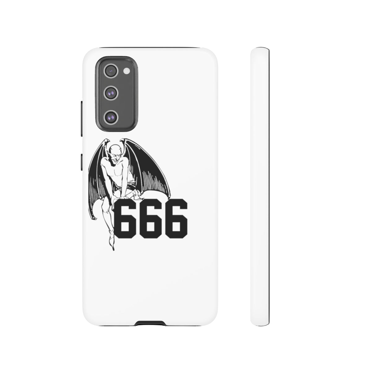 6S Cases